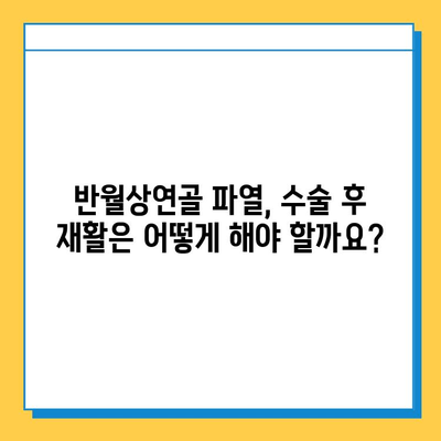 반월상연골 파열, 수술 시기는 언제가 적절할까요? |  통증, 증상, 치료, 재활, 운동