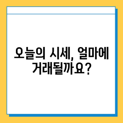 제주도 서귀포시 효돈동 개인택시 면허 매매 가격| 오늘 시세, 번호판 값, 자격 조건, 월수입, 양수 교육 | 상세 가이드