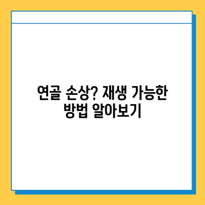 왼쪽 무릎 통증, 연골 관리법| 솔루션 & 운동 | 무릎 통증, 연골 재생, 관절 건강