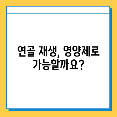 무릎 통증 관리, 관절 연골 영양제 추천 가이드| 효과적인 선택과 복용법 | 관절 건강, 무릎 통증 완화, 연골 재생