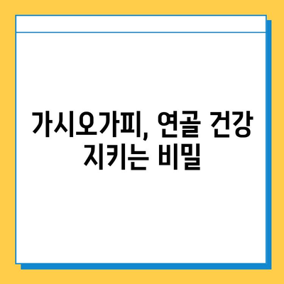 가시오가피순, 연골 건강 지키는 똑똑한 방법 | 연골 관리, 관절 건강, 가시오가피 효능