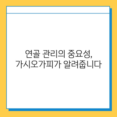 가시오가피순, 연골 건강 지키는 똑똑한 방법 | 연골 관리, 관절 건강, 가시오가피 효능