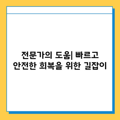 반월상연골파열 봉합수술 후 재활, 성공적인 회복을 위한 필수 가이드 | 재활 운동, 주의사항, 전문가 도움, 회복 기간