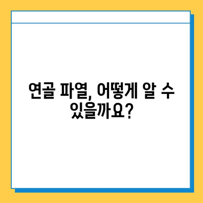 연골 파열, 간과하면 안 될 심각한 문제| 증상, 원인, 치료 및 예방 | 연골 손상, 관절 통증, 운동 제한