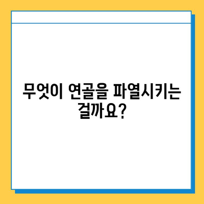 연골 파열, 간과하면 안 될 심각한 문제| 증상, 원인, 치료 및 예방 | 연골 손상, 관절 통증, 운동 제한