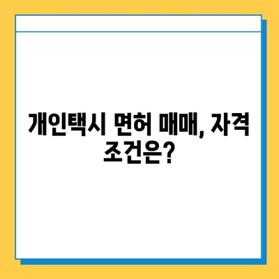 부산 강서구 강동동 개인택시 면허 매매 가격| 오늘 시세, 넘버값, 자격조건, 월수입 & 양수교육 | 상세 정보