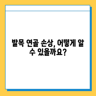 발목 통증 완화를 위한 발목 연골 관리 가이드 | 발목 통증, 연골 손상, 운동, 재활, 치료