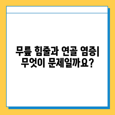 무릎 힘줄과 연골 염증| 원인, 증상, 치료 및 예방 가이드 | 무릎 통증, 퇴행성 관절염, 운동 부상, 재활