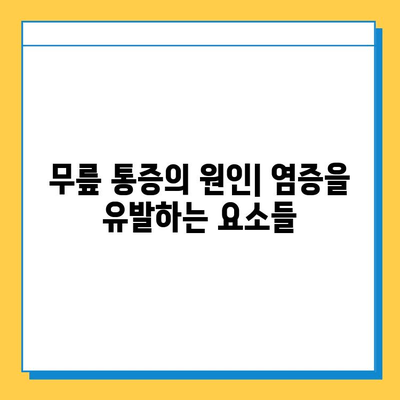 무릎 힘줄과 연골 염증| 원인, 증상, 치료 및 예방 가이드 | 무릎 통증, 퇴행성 관절염, 운동 부상, 재활