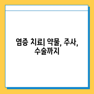 무릎 힘줄과 연골 염증| 원인, 증상, 치료 및 예방 가이드 | 무릎 통증, 퇴행성 관절염, 운동 부상, 재활