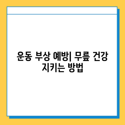 무릎 힘줄과 연골 염증| 원인, 증상, 치료 및 예방 가이드 | 무릎 통증, 퇴행성 관절염, 운동 부상, 재활