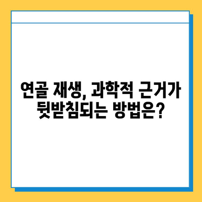 연골 내 골화 민간 요법, 과학적 근거는? | 연골, 골화, 민간 요법, 효과, 연구