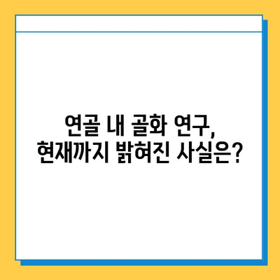 연골 내 골화 민간 요법, 과학적 근거는? | 연골, 골화, 민간 요법, 효과, 연구