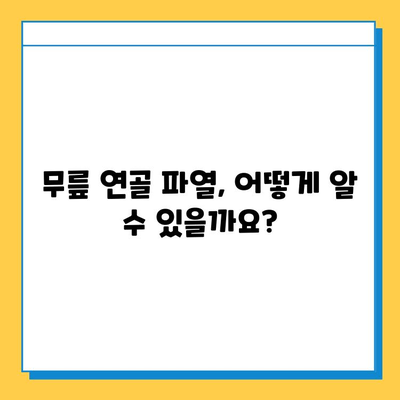 무릎 연골 파열, 하찮은 문제가 아닙니다| 증상, 원인, 치료 및 예방 | 무릎 통증, 연골 손상, 운동, 재활