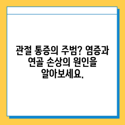 염증과 연골 손상| 원인, 증상, 치료 및 예방 | 관절 건강, 통증 완화, 운동, 재활