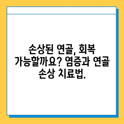 염증과 연골 손상| 원인, 증상, 치료 및 예방 | 관절 건강, 통증 완화, 운동, 재활