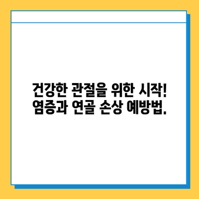 염증과 연골 손상| 원인, 증상, 치료 및 예방 | 관절 건강, 통증 완화, 운동, 재활