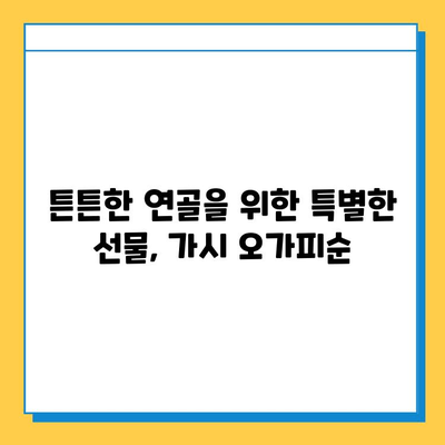 가시 오가피순 열매의 효능| 연골 건강 지키는 특별한 비밀 | 연골 관리, 관절 건강, 가시 오가피, 오가피순