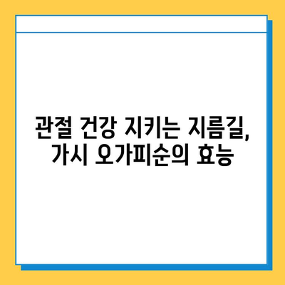 가시 오가피순 열매의 효능| 연골 건강 지키는 특별한 비밀 | 연골 관리, 관절 건강, 가시 오가피, 오가피순