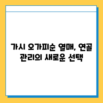 가시 오가피순 열매의 효능| 연골 건강 지키는 특별한 비밀 | 연골 관리, 관절 건강, 가시 오가피, 오가피순