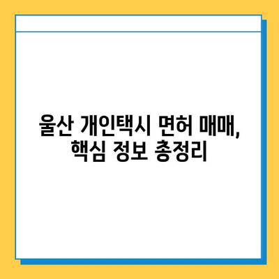 울산 중구 복산1동 개인택시 면허 매매 가격| 오늘 시세 확인 & 핵심 정보 | 번호판, 넘버값, 자격, 월수입, 양수교육