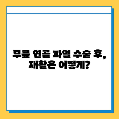 무릎 연골 파열, 회복의 길을 찾다| 수술부터 재활까지 | 무릎 연골 파열, 회복 과정, 재활 운동, 수술