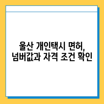 울산 중구 복산1동 개인택시 면허 매매 가격| 오늘 시세 확인 & 핵심 정보 | 번호판, 넘버값, 자격, 월수입, 양수교육