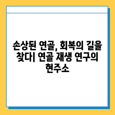 연골 성장판 재생 가능성| 현실과 미래 | 연골 재생, 손상 회복, 치료, 연구