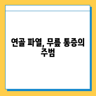 연골파열, 가볍게 생각하지 마세요| 증상과 치료, 그리고 회복 | 연골파열, 무릎 통증, 운동 제한, 재활