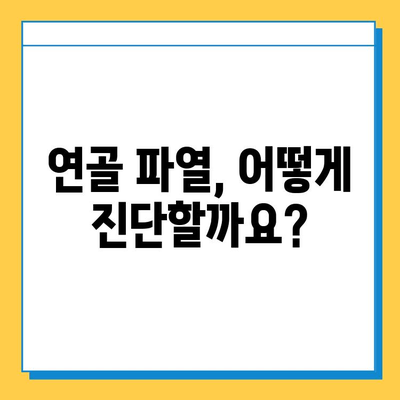 연골파열, 가볍게 생각하지 마세요| 증상과 치료, 그리고 회복 | 연골파열, 무릎 통증, 운동 제한, 재활