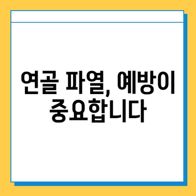 연골파열, 가볍게 생각하지 마세요| 증상과 치료, 그리고 회복 | 연골파열, 무릎 통증, 운동 제한, 재활