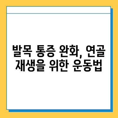 발목 통증 완화를 위한 발목 연골 관리| 효과적인 운동과 생활 습관 | 연골 재생, 통증 완화 운동, 발목 건강