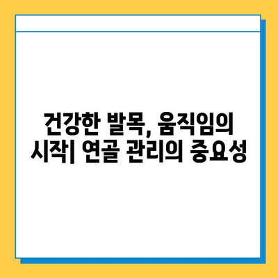 발목 통증 완화를 위한 발목 연골 관리| 효과적인 운동과 생활 습관 | 연골 재생, 통증 완화 운동, 발목 건강