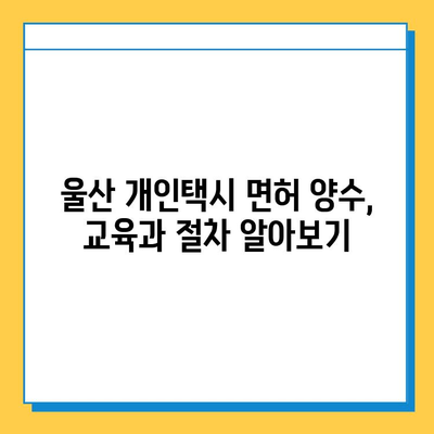 울산 중구 복산1동 개인택시 면허 매매 가격| 오늘 시세 확인 & 핵심 정보 | 번호판, 넘버값, 자격, 월수입, 양수교육