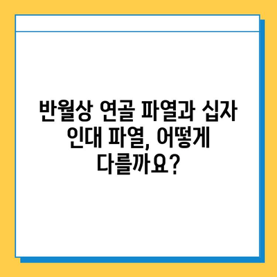 반월상 연골 파열 & 십자 인대 파열, 치료법 총정리 | 수술, 재활, 운동, 회복