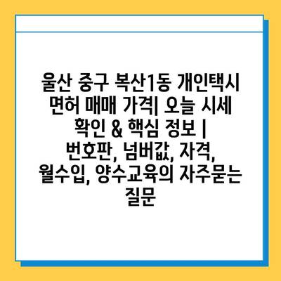 울산 중구 복산1동 개인택시 면허 매매 가격| 오늘 시세 확인 & 핵심 정보 | 번호판, 넘버값, 자격, 월수입, 양수교육