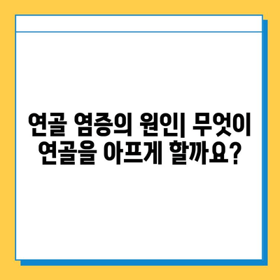 연골 염증| 힘줄과 연골에 미치는 영향 | 원인, 증상, 치료 및 예방