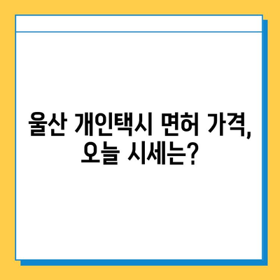 울산 북구 송정동 개인택시 면허 매매 가격| 오늘 시세, 넘버값, 자격조건, 월수입, 양수교육 | 상세 정보