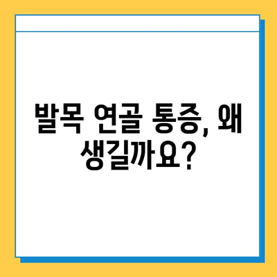 발목 연골 통증 완화를 위한 관리 가이드| 운동, 치료, 예방 | 발목 통증, 연골 손상, 재활