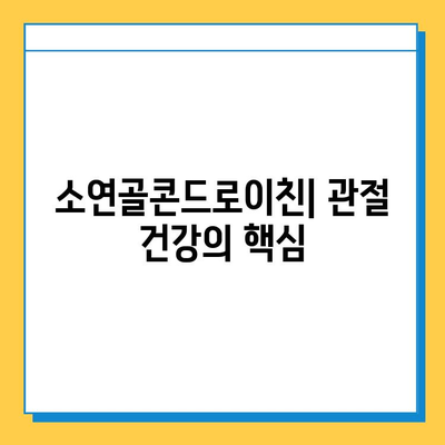 소연골콘드로이친으로 강화하는 관절 건강| 효능, 섭취 방법, 주의 사항 | 관절 건강, 연골 건강, 콘드로이친, 건강 정보