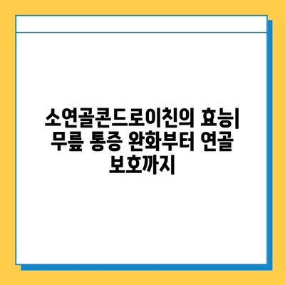 소연골콘드로이친으로 강화하는 관절 건강| 효능, 섭취 방법, 주의 사항 | 관절 건강, 연골 건강, 콘드로이친, 건강 정보