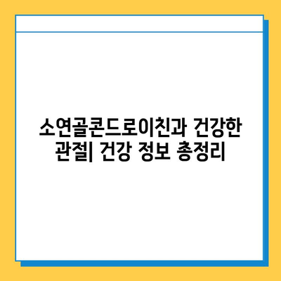 소연골콘드로이친으로 강화하는 관절 건강| 효능, 섭취 방법, 주의 사항 | 관절 건강, 연골 건강, 콘드로이친, 건강 정보