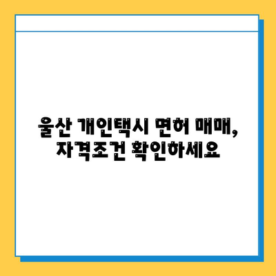 울산 북구 송정동 개인택시 면허 매매 가격| 오늘 시세, 넘버값, 자격조건, 월수입, 양수교육 | 상세 정보