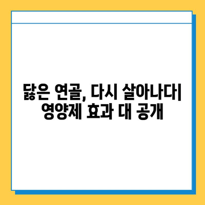 관절 연골 영양제 후기| 내 삶을 바꾼 놀라운 변화 공유 | 관절 통증, 연골 재생, 건강 관리, 실제 후기