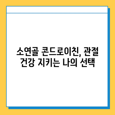 소연골 콘드로이친 후기| 관절 건강 관리, 효과 및 주의사항 | 관절 통증, 연골 재생, 건강 기능성 식품