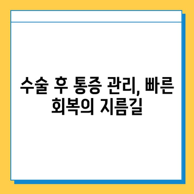 무릎 연골 수술 후 빠른 회복을 위한 맞춤형 재활 가이드 | 연골 수술, 재활 운동, 회복 전략