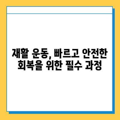 무릎 연골 파열, 회복의 지름길| 전문가가 알려주는 핵심 비법 공개 | 연골 파열, 재활, 치료, 운동, 관리