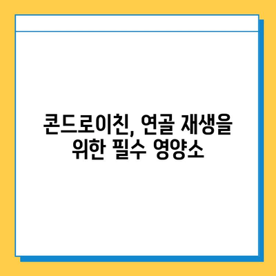 호주 관절 연골영양제 후기| 콘드로이친 추천 이유 & 효과적인 선택 가이드 | 관절 건강, 연골 재생, 호주 직구, 건강식품