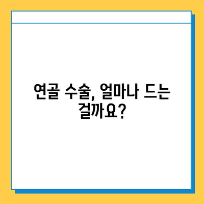 연골 수술 비용 가이드 | 병원별 비용 정보, 보험 적용, 부가 비용 상세 안내