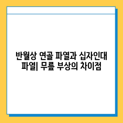 반월상 연골 파열 vs 십자인대 파열| 치료법과 회복 과정 비교 가이드 | 무릎 부상, 운동, 재활